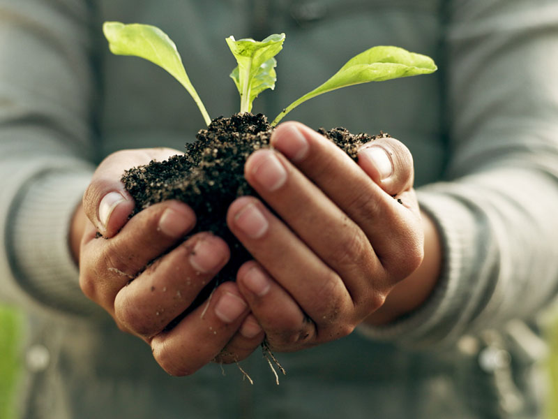 An Improved Pulping System = A Win for Sustainability!